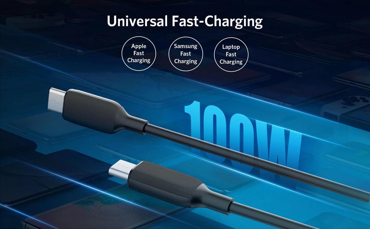 Anker 6ft PowerLine III USB-C to USB-C 2.0 100W Charging Cable