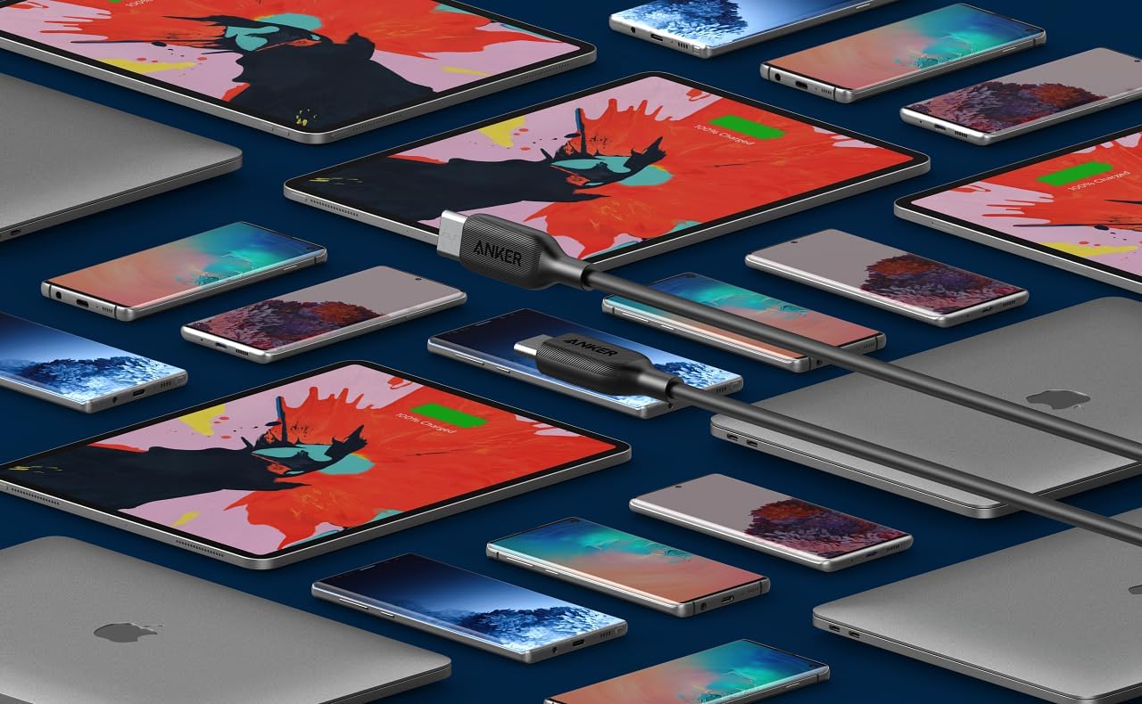 Anker 6ft PowerLine III USB-C to USB-C 2.0 100W Charging Cable