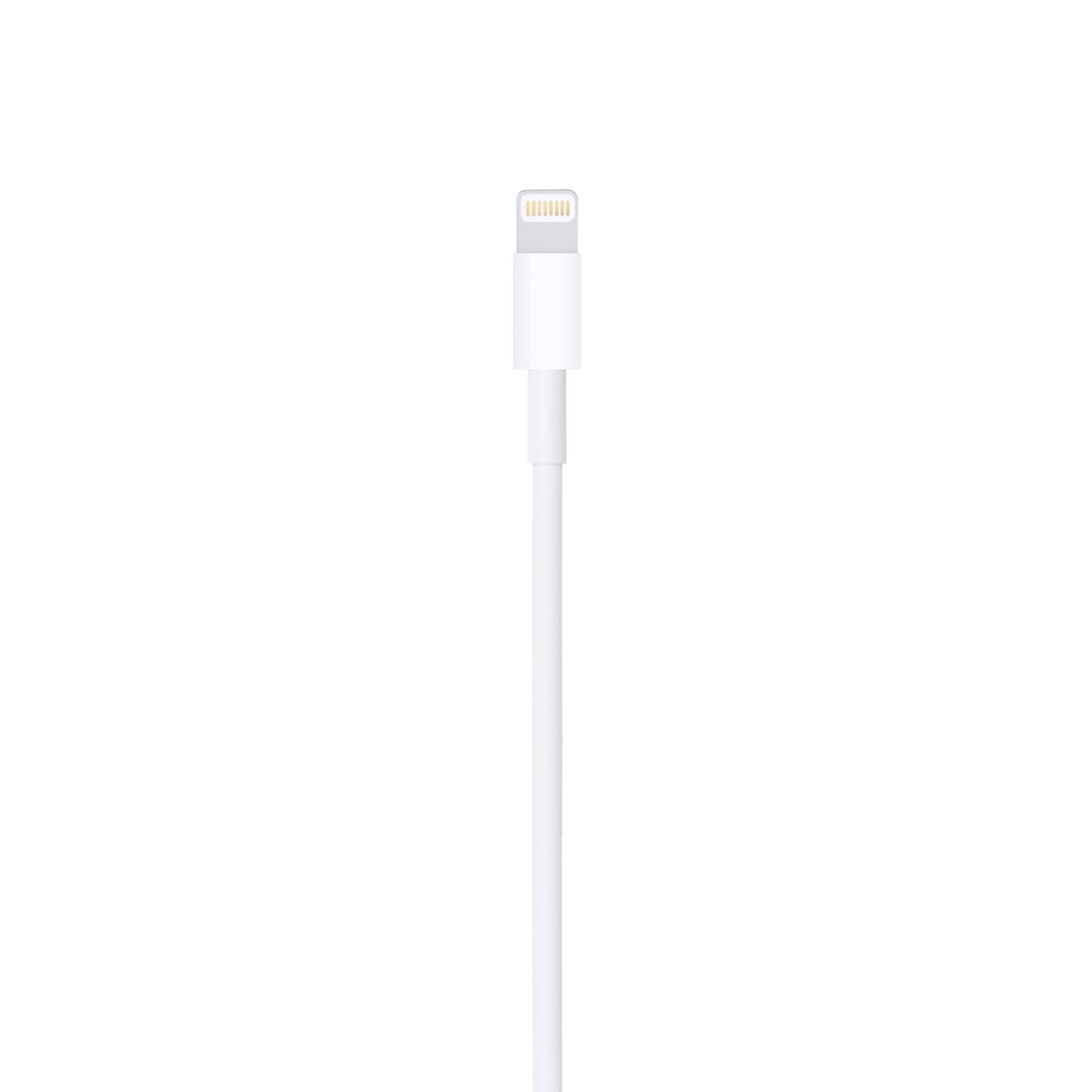 Apple 2M Lightning to USB Cable MD819ZM/A: Durable, Fast Charging & Syncing