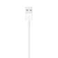 Apple 2M Lightning to USB Cable MD819ZM/A: Durable, Fast Charging & Syncing