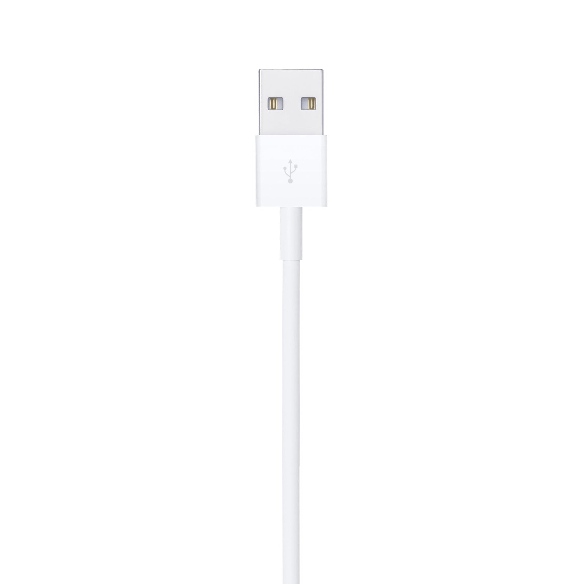 Apple 2M Lightning to USB Cable MD819ZM/A: Durable, Fast Charging & Syncing