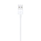 Apple 0.5m Lightning to USB Cable for iPhone, iPad, iPod
