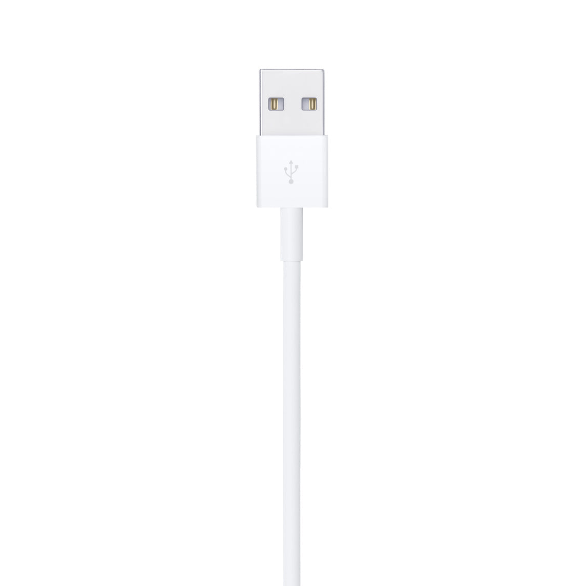 Apple 0.5m Lightning to USB Cable for iPhone, iPad, iPod