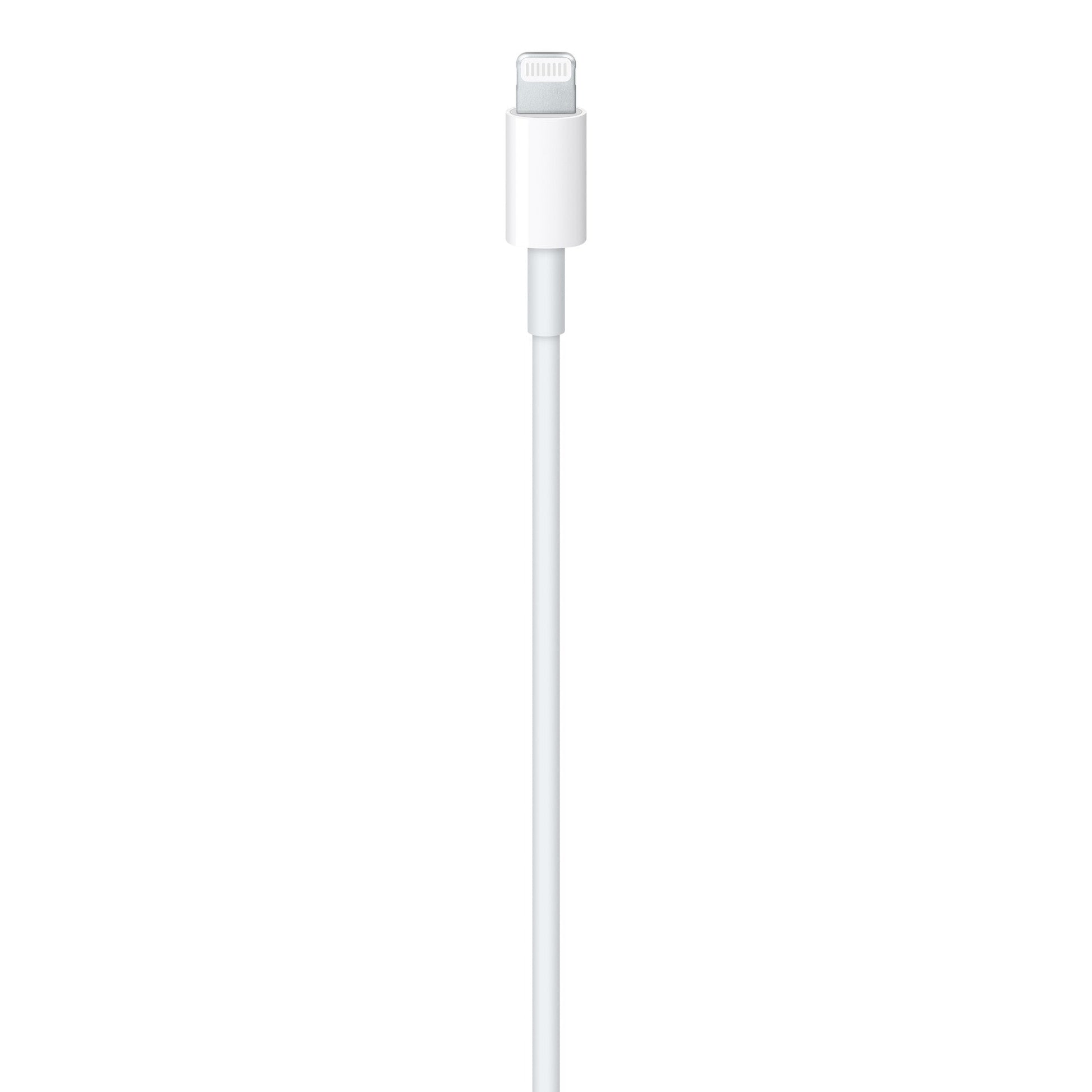 Apple USB-C to Lightning Cable 3.3ft: Fast Charging, Durable, Sync Data