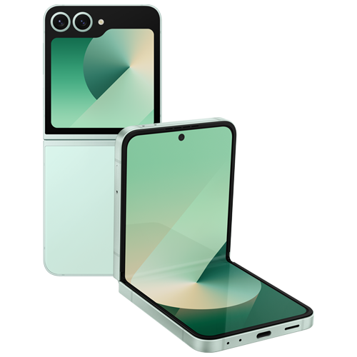 Galaxy Z Flip6 (12GB+256GB)