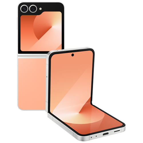Galaxy Z Flip6 (12GB+256GB)